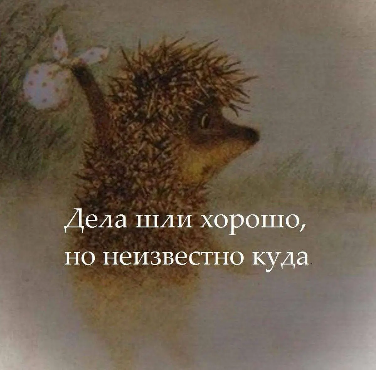 Когда ты не просто ёжик в тумане, а тот, кто карту съел | Сетка — социальная сеть от hh.ru