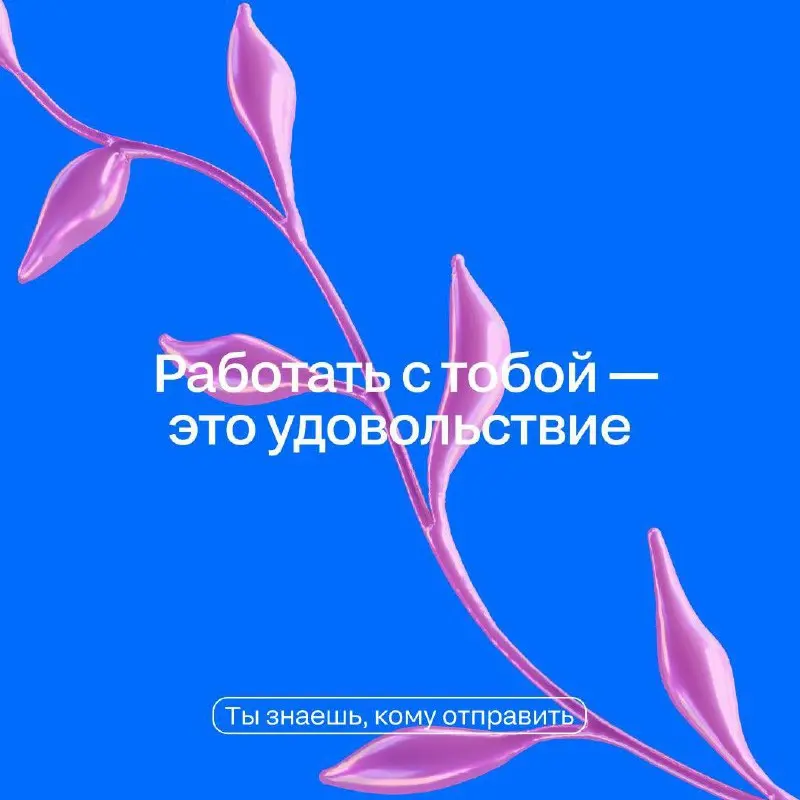 День святого коллегии: как вовлечь 80% команды за 0 ₽ | Сетка — социальная сеть от hh.ru