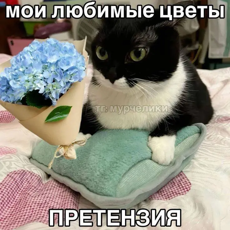 Неудобный факт: злиться на HR за то, что вас не взяли на работу — все равно что злиться на кассира за то, что поднялись цены | Сетка — социальная сеть от hh.ru