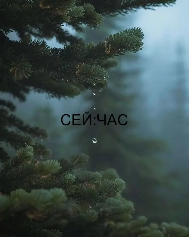 «Я всё понимаю»
Признать, что тяжело, это сильный и очень важный шаг, без которого движение в принципе невозможно | Сетка — социальная сеть от hh.ru