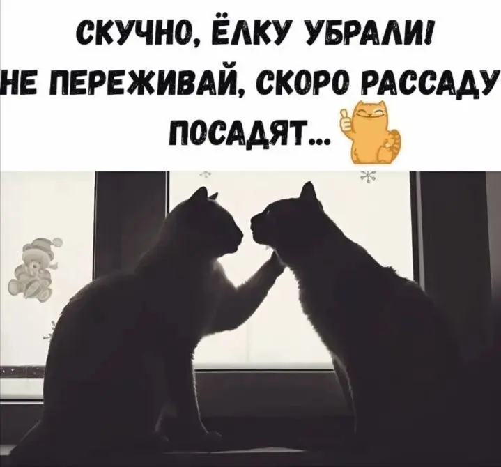 Скоро начнется новый аттракцион 😂😂😂
От любимого клиента Вали ❤️
#Юмор@poldner #Коты@poldner | Сетка — социальная сеть от hh.ru