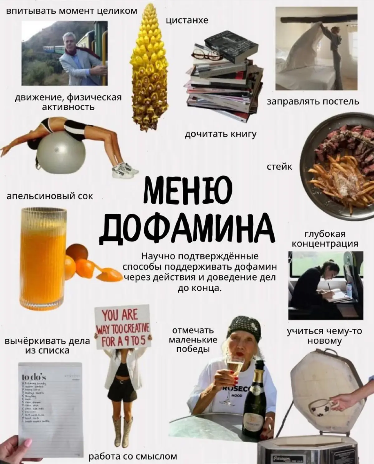 Что делать и что есть, чтоб быть на позитиве | Сетка — социальная сеть от hh.ru