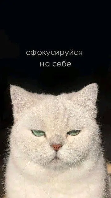 Продуктивного понедельника🖤
© SMM Combo
В этом посте были ссылки, но мы их удалили по правилам Сетки | Сетка — социальная сеть от hh.ru