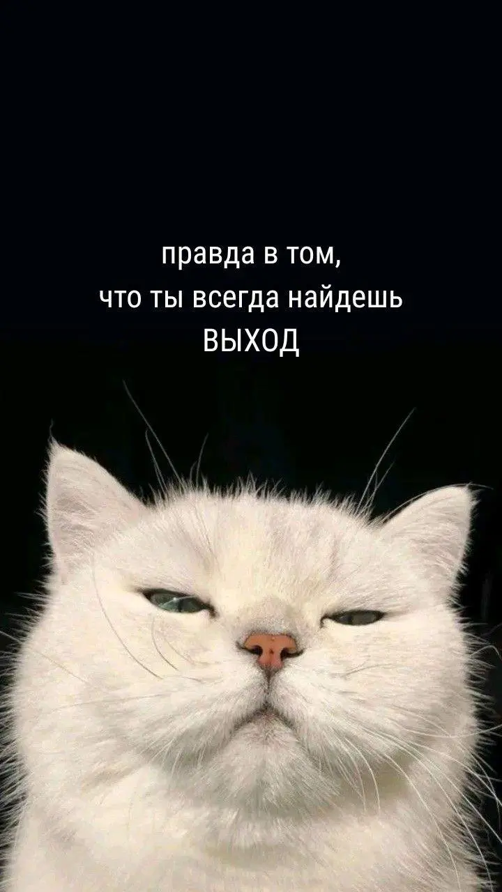 Продуктивного понедельника🖤
© SMM Combo
В этом посте были ссылки, но мы их удалили по правилам Сетки | Сетка — социальная сеть от hh.ru