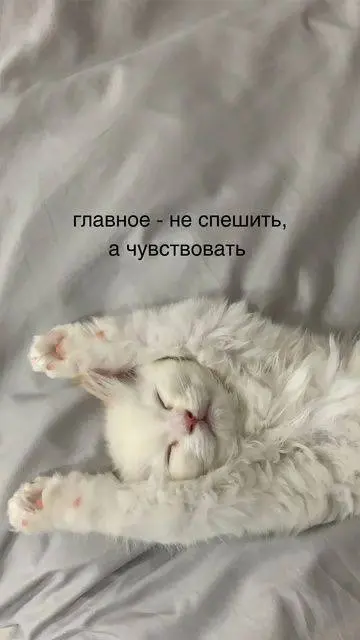 Продуктивного понедельника🖤
© SMM Combo
В этом посте были ссылки, но мы их удалили по правилам Сетки | Сетка — социальная сеть от hh.ru