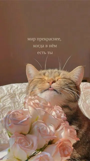 Продуктивного понедельника🖤
© SMM Combo
В этом посте были ссылки, но мы их удалили по правилам Сетки | Сетка — социальная сеть от hh.ru