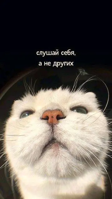 Продуктивного понедельника🖤
© SMM Combo
В этом посте были ссылки, но мы их удалили по правилам Сетки | Сетка — социальная сеть от hh.ru