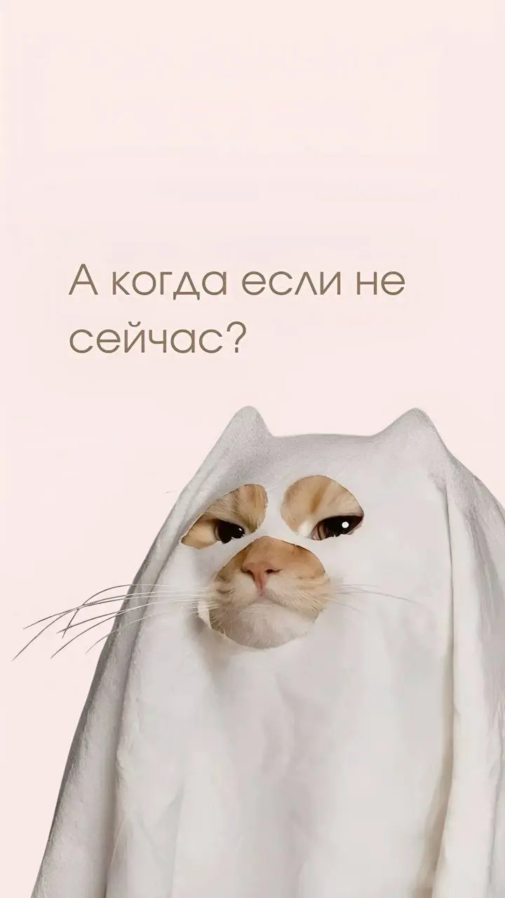 Продуктивного понедельника🖤
© SMM Combo
В этом посте были ссылки, но мы их удалили по правилам Сетки | Сетка — социальная сеть от hh.ru
