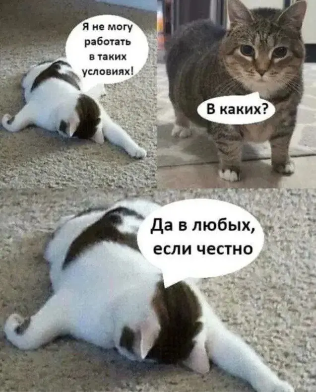 в комменты, если та же история | Сетка — социальная сеть от hh.ru