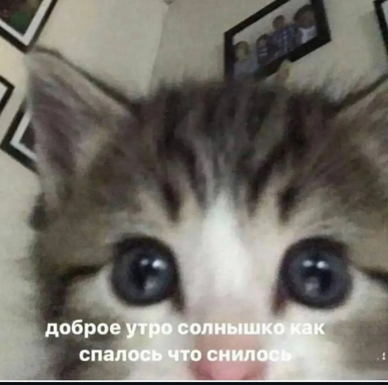 Как ваши выходные? Готовы к новой трудовой неделе? | Сетка — социальная сеть от hh.ru