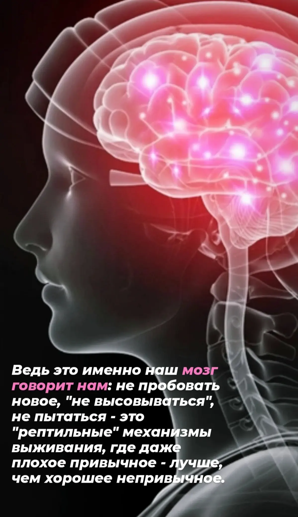 Самое классное в ТГ 🫶❤️ | Сетка — социальная сеть от hh.ru