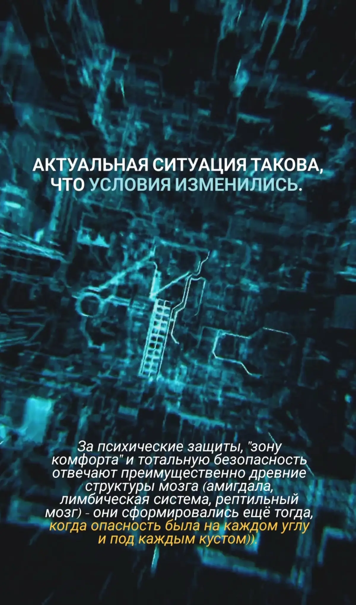 Самое классное в ТГ 🫶❤️ | Сетка — социальная сеть от hh.ru
