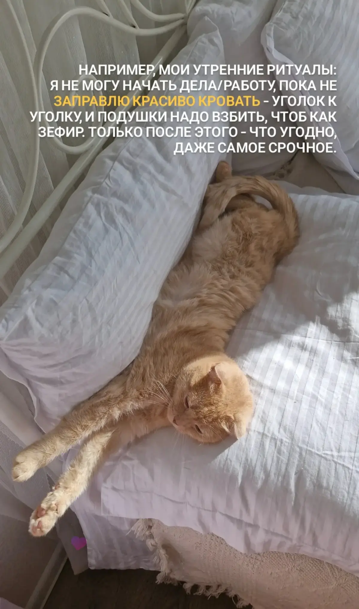 Самое классное в ТГ 🫶❤️ | Сетка — социальная сеть от hh.ru