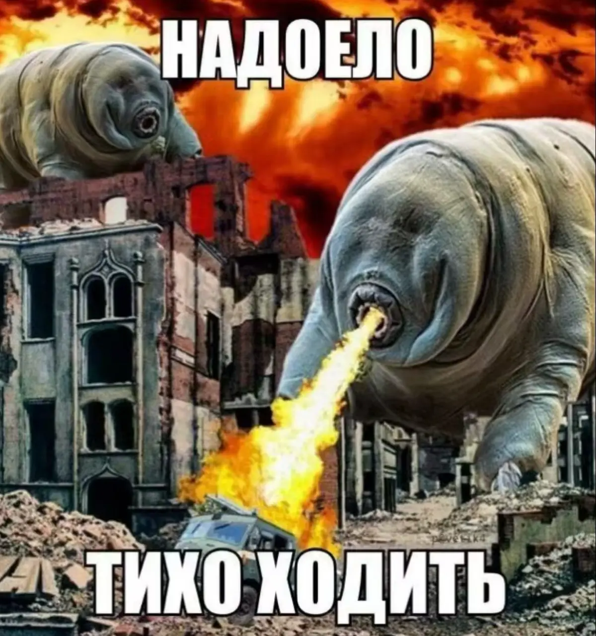 Последний набор на стажировку в Т-Банк…. | Сетка — социальная сеть от hh.ru