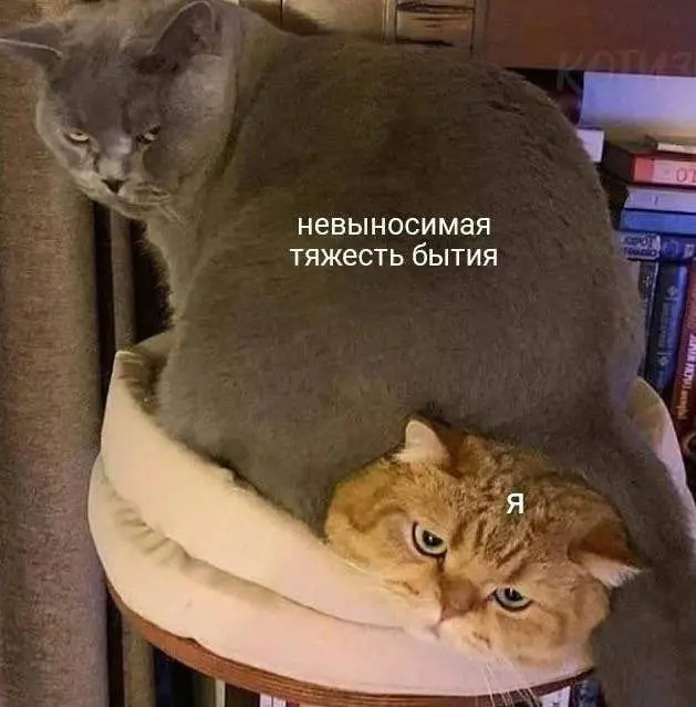 Где Ваш баланс? | Сетка — социальная сеть от hh.ru