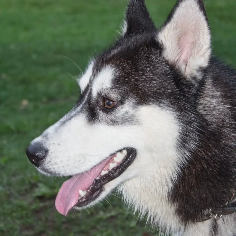 Ирина Барулина | Сетка — социальная сеть от hh.ru