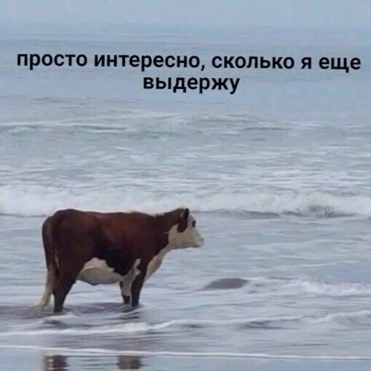 Хороший сотрудник ≠ удобный сотрудник | Сетка — социальная сеть от hh.ru
