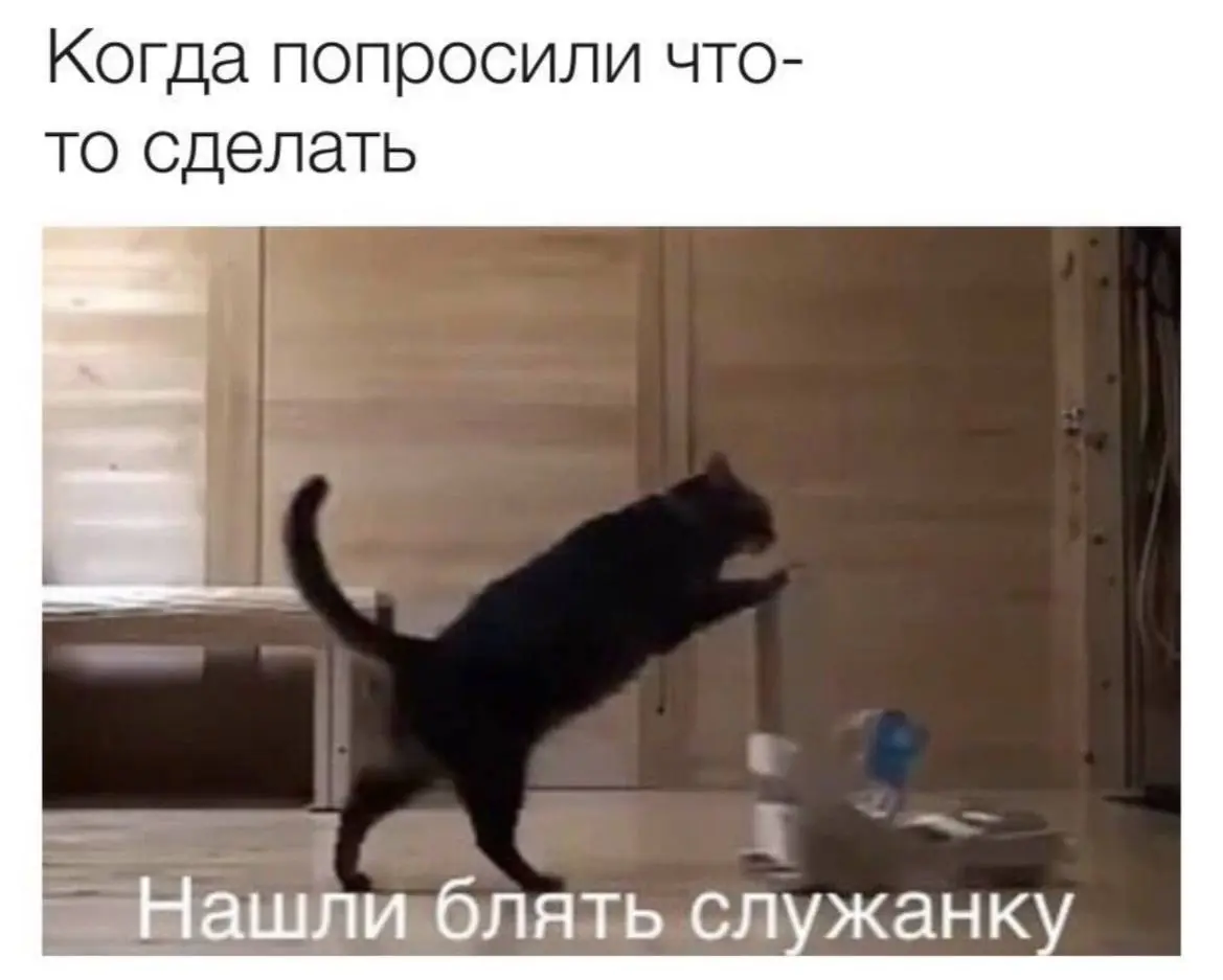 День 161
Вычеркнули еще один день в феврале. Приятно ))
🔤 занималась английским
🔤 обнималась с Китом | Сетка — социальная сеть от hh.ru