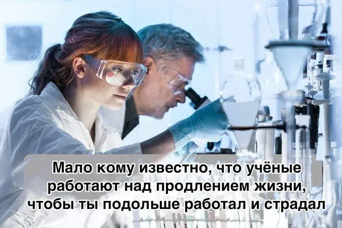 Надеюсь, от работы нас ИИ избавит | Сетка — социальная сеть от hh.ru