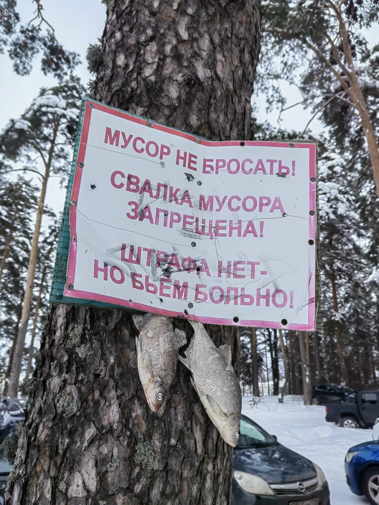 Первый опыт с ночёвкой.
Рыба особа не клевала, немного плотвы было. В камеру видел, ходила около прикормки, да есть не хотела и так у всех, ходили бродили и толком результатов не было | Сетка — социальная сеть от hh.ru