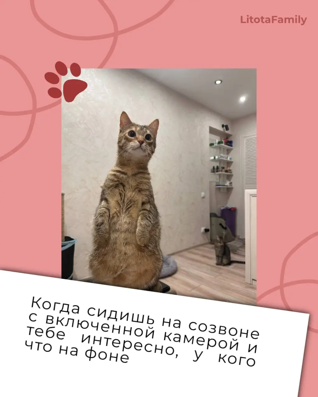 Заглянули в наш клуб любителей животных и нашли там готовые иллюстрации ко всем рабочим состояниям 🙊
Эмоции ваших питомцев так выразительны, что мы превратили их в карточки рабочих ситуаций | Сетка — социальная сеть от hh.ru