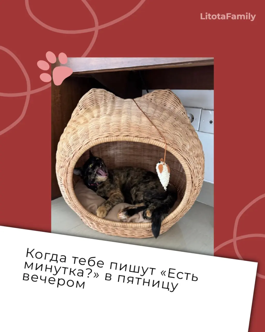 Заглянули в наш клуб любителей животных и нашли там готовые иллюстрации ко всем рабочим состояниям 🙊
Эмоции ваших питомцев так выразительны, что мы превратили их в карточки рабочих ситуаций | Сетка — социальная сеть от hh.ru