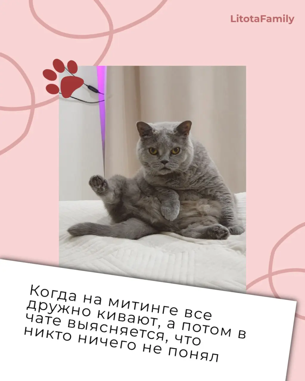 Заглянули в наш клуб любителей животных и нашли там готовые иллюстрации ко всем рабочим состояниям 🙊
Эмоции ваших питомцев так выразительны, что мы превратили их в карточки рабочих ситуаций | Сетка — социальная сеть от hh.ru