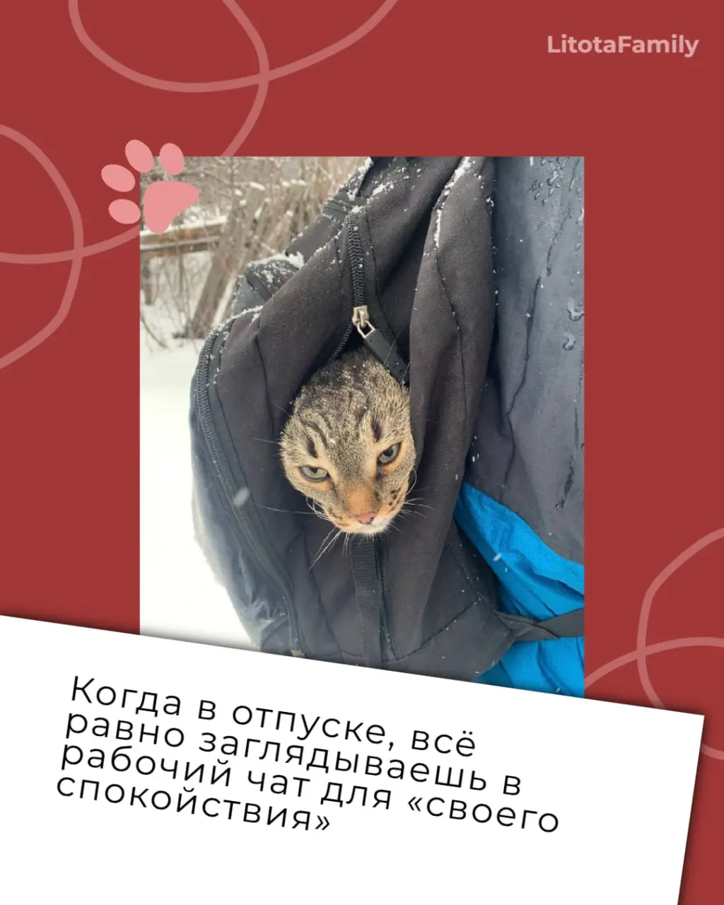 Заглянули в наш клуб любителей животных и нашли там готовые иллюстрации ко всем рабочим состояниям 🙊
Эмоции ваших питомцев так выразительны, что мы превратили их в карточки рабочих ситуаций | Сетка — социальная сеть от hh.ru