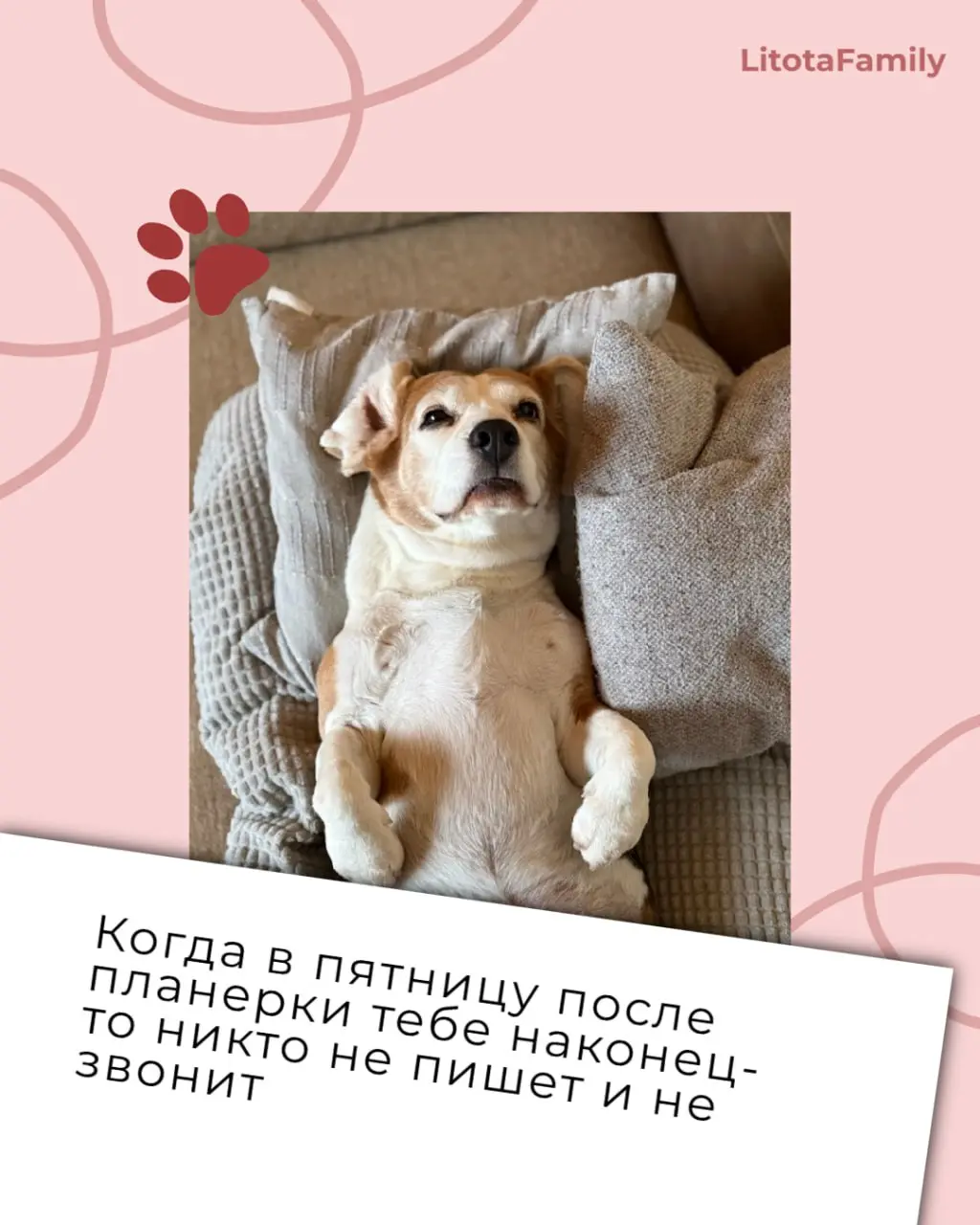 Заглянули в наш клуб любителей животных и нашли там готовые иллюстрации ко всем рабочим состояниям 🙊
Эмоции ваших питомцев так выразительны, что мы превратили их в карточки рабочих ситуаций | Сетка — социальная сеть от hh.ru