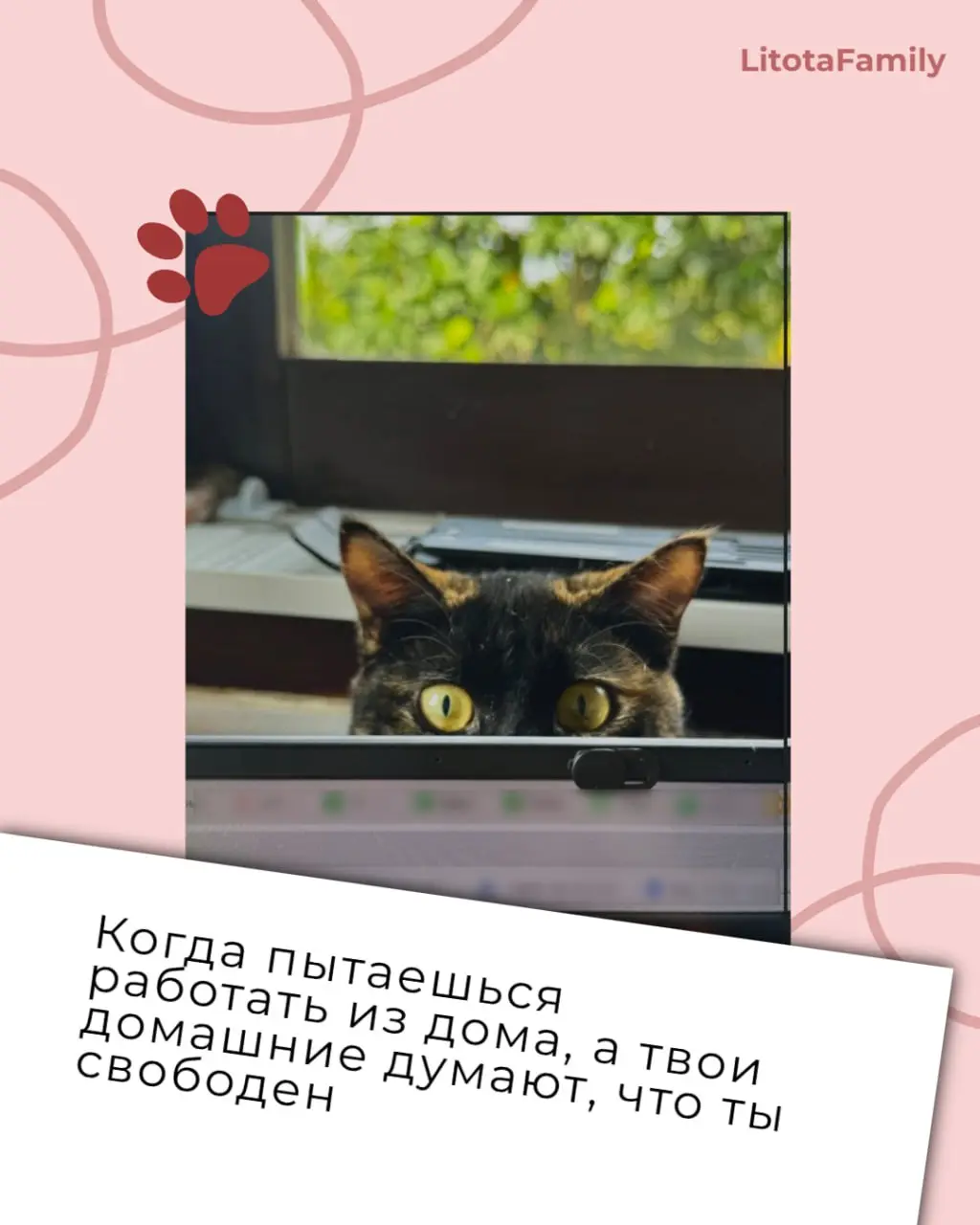 Заглянули в наш клуб любителей животных и нашли там готовые иллюстрации ко всем рабочим состояниям 🙊
Эмоции ваших питомцев так выразительны, что мы превратили их в карточки рабочих ситуаций | Сетка — социальная сеть от hh.ru