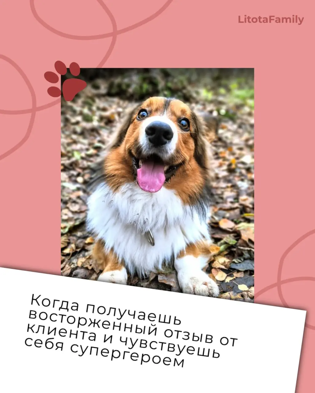 Заглянули в наш клуб любителей животных и нашли там готовые иллюстрации ко всем рабочим состояниям 🙊
Эмоции ваших питомцев так выразительны, что мы превратили их в карточки рабочих ситуаций | Сетка — социальная сеть от hh.ru
