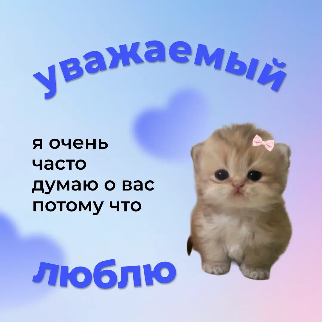 Скоро 14 февраля — напишите анонимно слова любви | Сетка — социальная сеть от hh.ru
