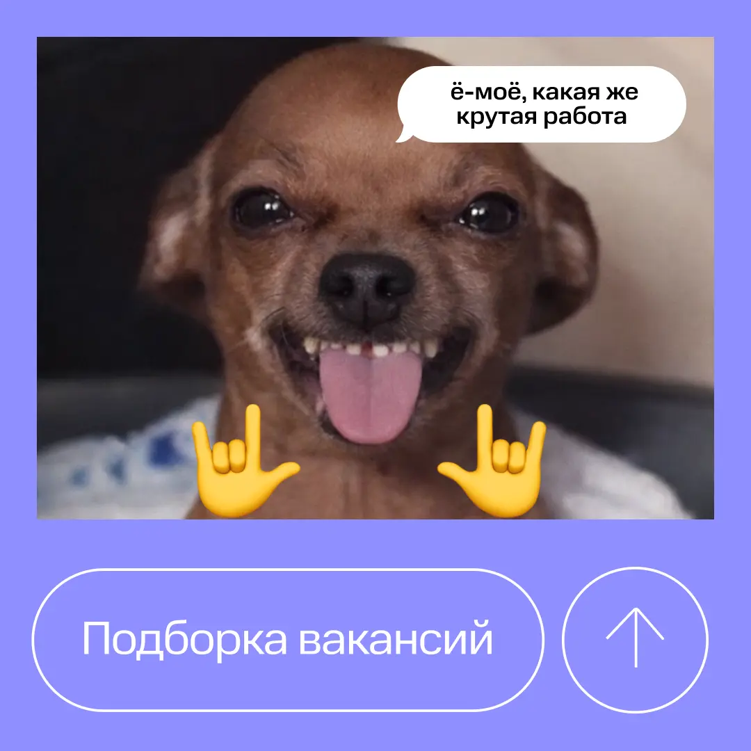 Возвращаемся к регулярным дайджестам вакансий в МТС Банк | Сетка — социальная сеть от hh.ru