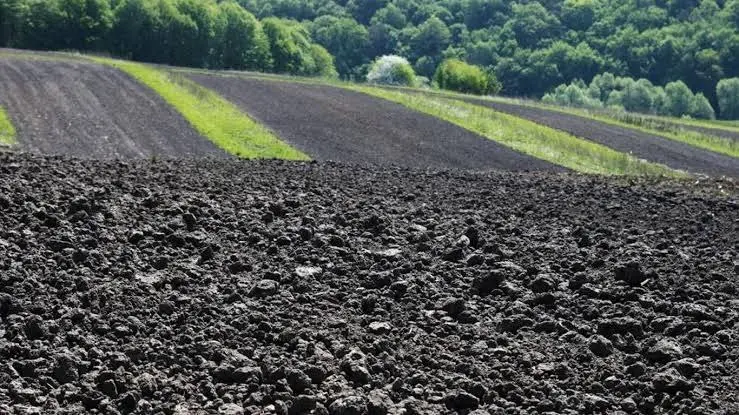 Западные ТНК и война уничтожили знаменитые черноземы Украины
Из года в год украинский чернозем теряет свою урожайность | Сетка — социальная сеть от hh.ru