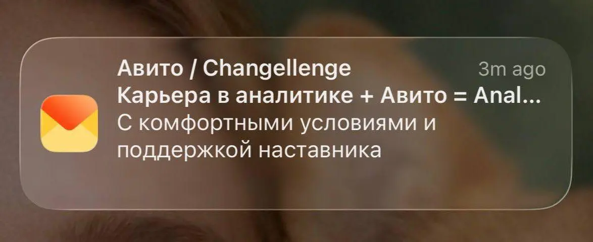 я в деле! | Сетка — социальная сеть от hh.ru