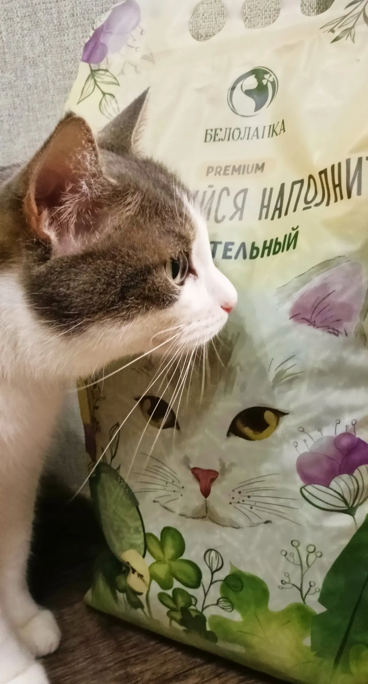 Люблю получать подарки со своим дизайном ✨❤
Получила в благодарность от клиента наполнитель со своей иллюстрацией и дизайном | Сетка — социальная сеть от hh.ru