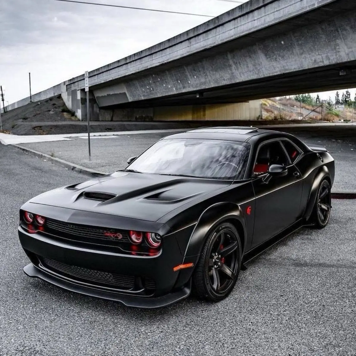 Дима Петкавич | Сетка — социальная сеть от hh.ru