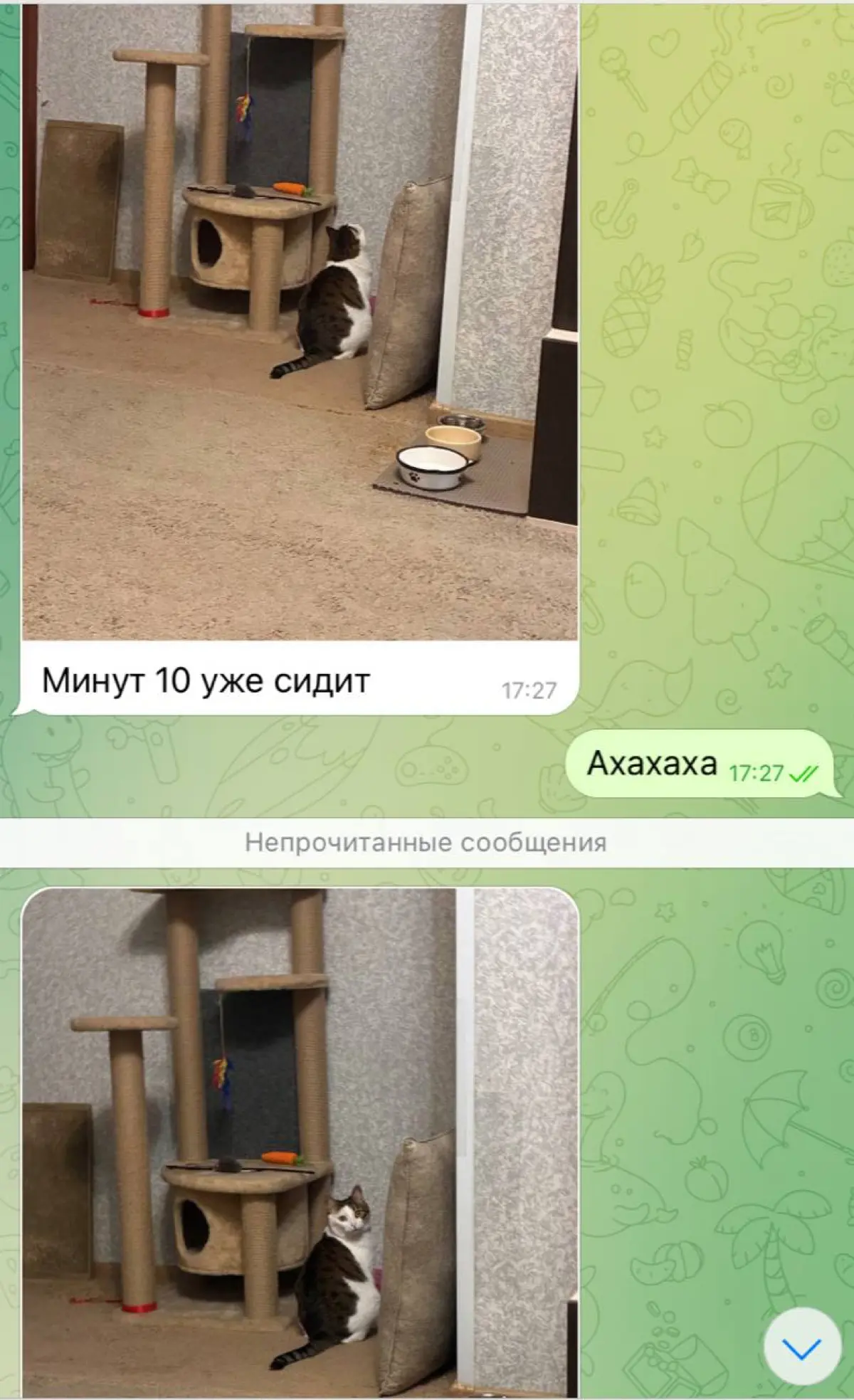 Офис на троих | Сетка — социальная сеть от hh.ru