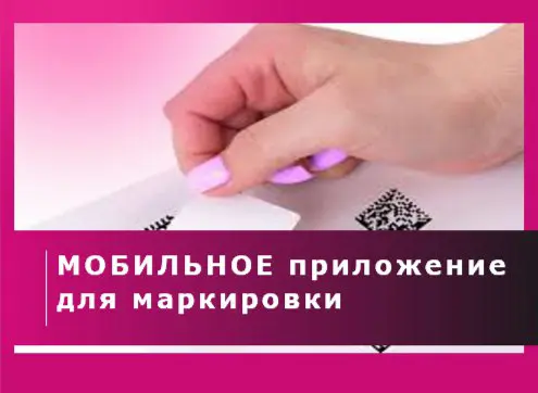 МОБИЛЬНОЕ ПРИЛОЖЕНИЕ ЧЗ📲 | Сетка — социальная сеть от hh.ru