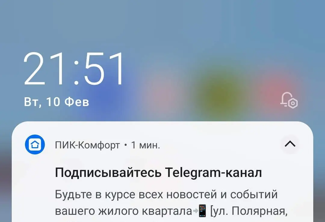 И премия Дарвина сегодня, несомненно, достается маркетологам ПИКа.
Лучшего дня для рекламы своего ТГ невозможно было придумать!
Ну а пропущенный предлог "на" - это в данном контексте вообще мелочи. | Сетка — социальная сеть от hh.ru