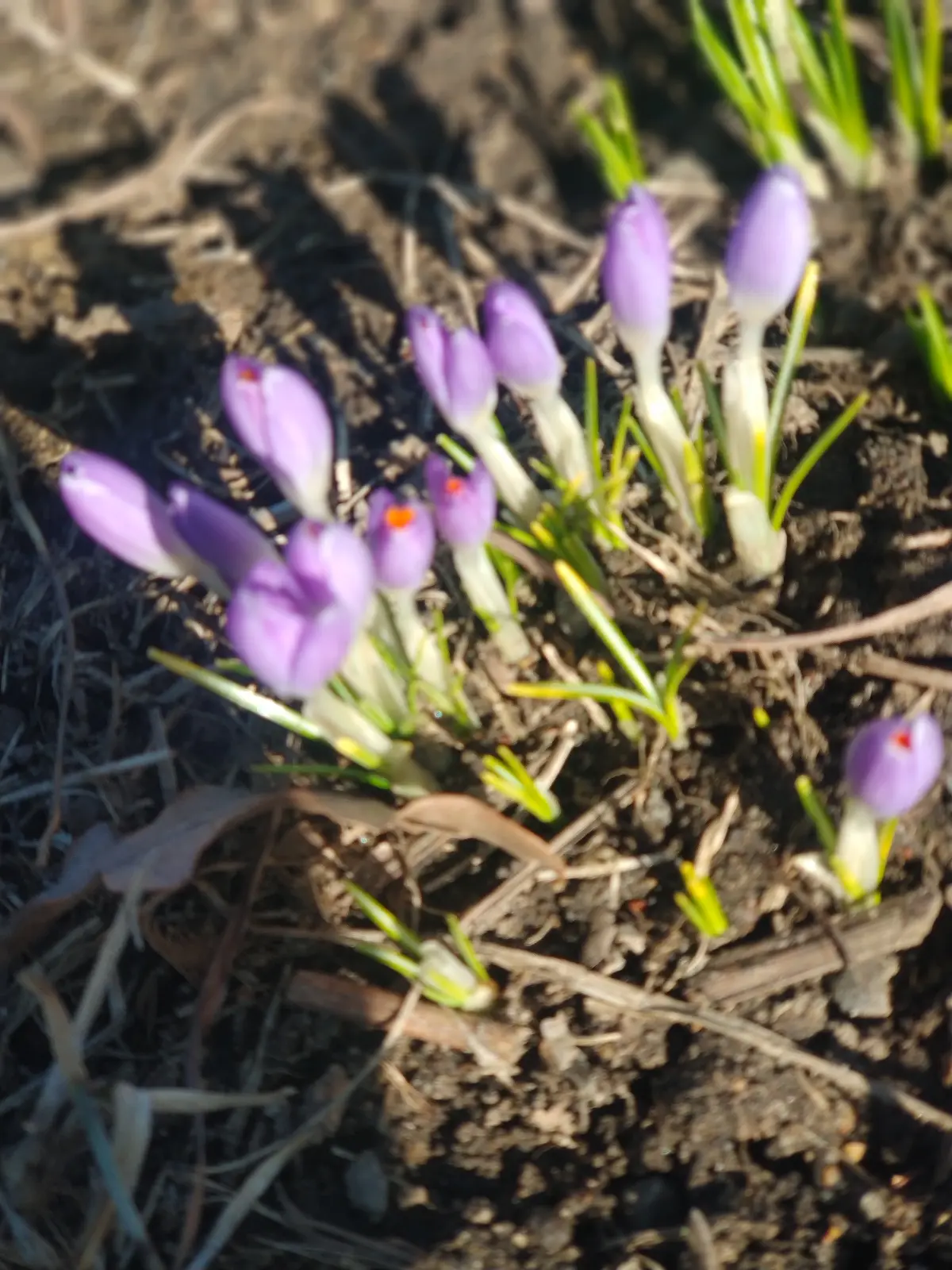 Твоё время расцвести | Сетка — социальная сеть от hh.ru