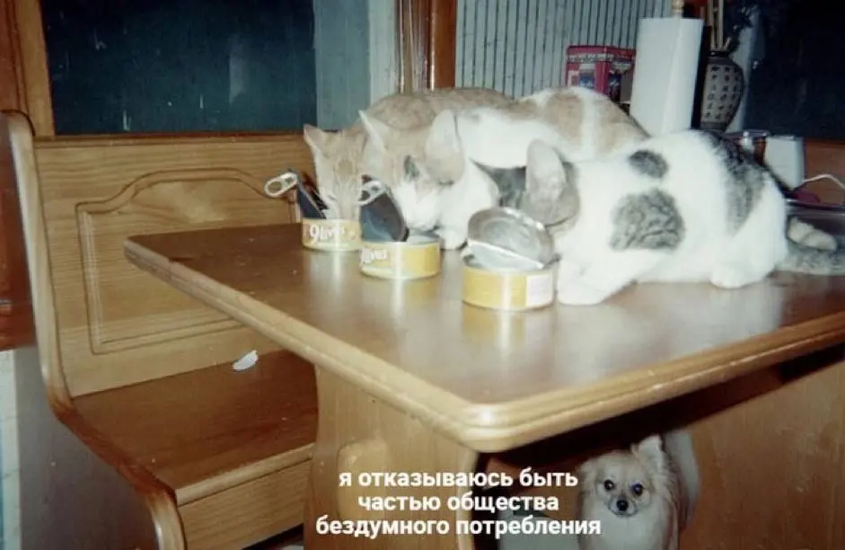 Конец эпохи «fast-product»: почему долговечность продуктов стала новой валютой
В последние десятилетие рыночная гонка сводилась к демпингу и сокращению жизненного цикла продуктов | Сетка — социальная сеть от hh.ru