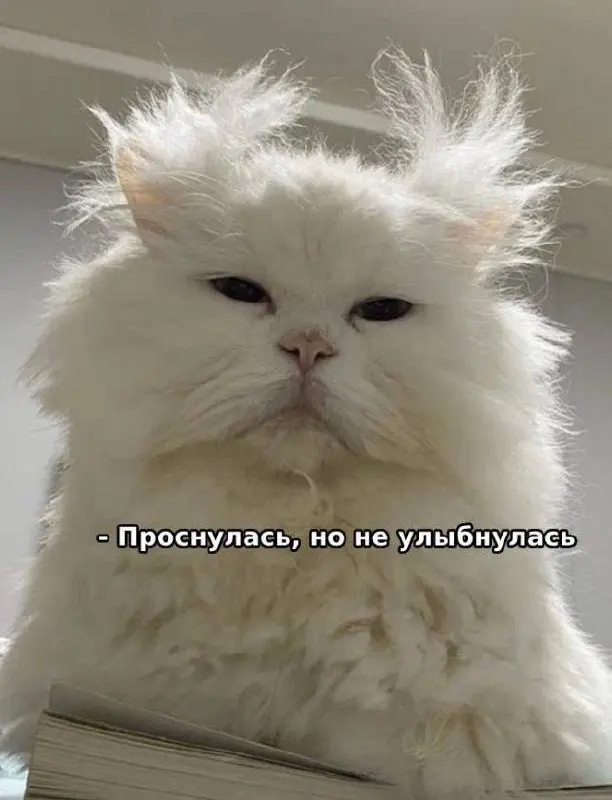 Как я провожу утро…
Я когда-то постила часто утреннюю зарядку, с тех пор я часто слышу от других: ну ты ваще продуктивная - и встаешь рано, и столько всего утром делаешь | Сетка — социальная сеть от hh.ru