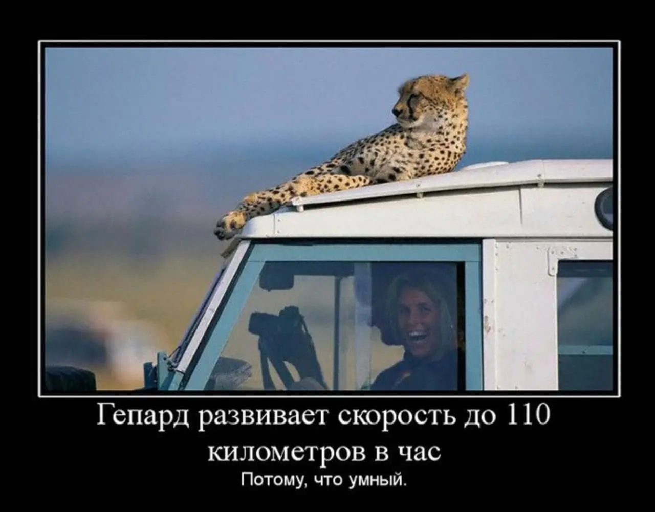 Эффект Даннинга - Крюгера или минутка базы
Мне кажется, сейчас многим надо напомнить базу. Под “многим” я в первую очередь имею себя. Потому что я в довольно грустном состоянии | Сетка — социальная сеть от hh.ru