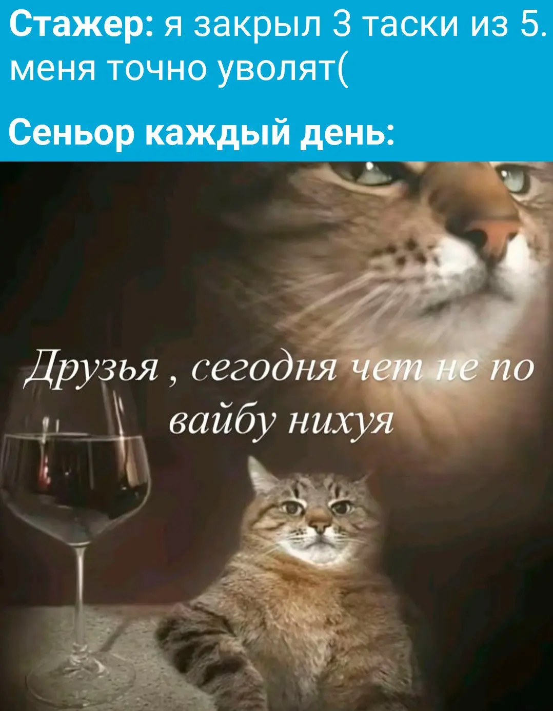 Зато в один день поймает его и закроет всё разом, | Сетка — социальная сеть от hh.ru