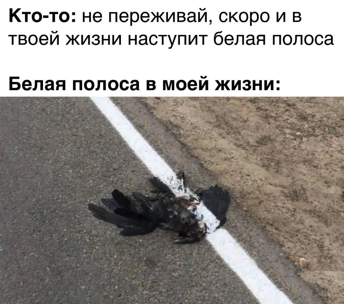 Реальность. | Сетка — социальная сеть от hh.ru