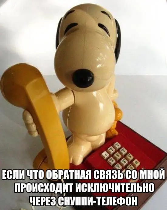 Все, кто когда-либо пытался со мной связаться, оценят мем вдвойне | Сетка — социальная сеть от hh.ru