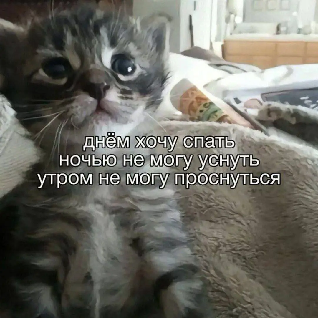 Вся причина работа | Сетка — социальная сеть от hh.ru