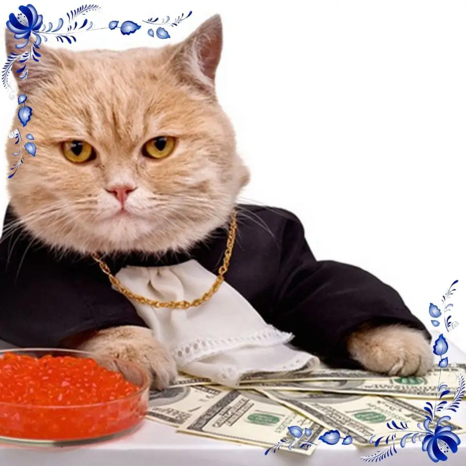 ХОЧЕШЬ ЗАВТРАКАТЬ КРАСНОЙ ИКРОЙ?
ПРИСОЕДИНЯЙСЯ К НАШЕЙ КОМАНДЕ ОНЛАЙН- БЮРО НЕДВИЖИМОСТИ
🙂 Мы расширяем отдел аренды на Юго Востоке Московской области и ищем тех, кто готов много общаться и много зара... | Сетка — социальная сеть от hh.ru