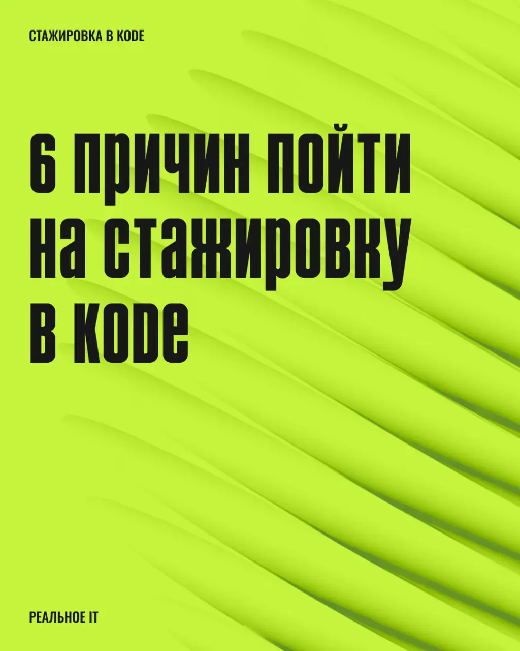 Групповая стажировка в KODE — это шанс стать частью большой команды. Листайте карусель, чтобы узнать, что вас ждёт на стажировке 💚
Переходите в бот и оставляйте заявку | Сетка — социальная сеть от hh.ru